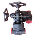 800L 1500lb forgé en acier A105 bout NPT Globe Valve